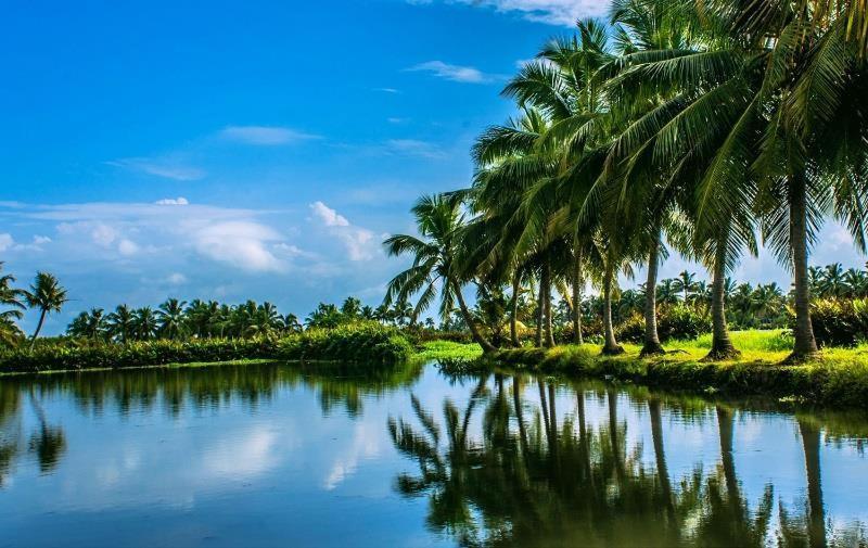 Sea Breeze Beach Home Alappuzha Εξωτερικό φωτογραφία
