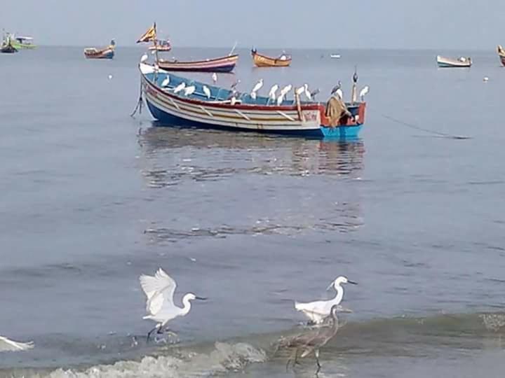 Sea Breeze Beach Home Alappuzha Εξωτερικό φωτογραφία
